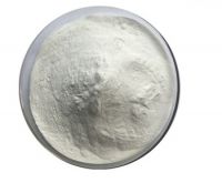 Sodium Chlorite 25%/31% Liquid and 80% Powder for sale