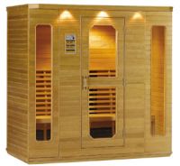 sauna(60040)