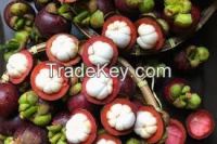 Mangosteen Exotic Fruit