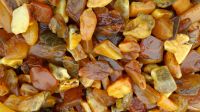 Sell Baltic amber stones