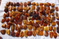 Sell Baltic amber stones