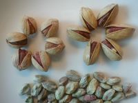 Quality Iranian pistachios available NOW!