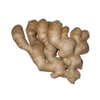 High Quality Market Price Air Dried Ginger