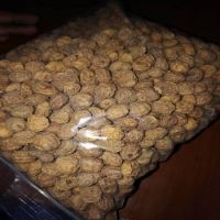 High quality natural  tiger nuts