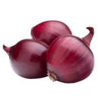 High quality fresh red onion for sale , seeds red onion yellow onions & red onions