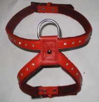 Sell pet collars and leashes
