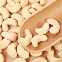 RAW CASHEW/CASHEW NUTS/ CASHEW KERNELS WW240/ WW320/ WW450/ WS/ LP/ SP