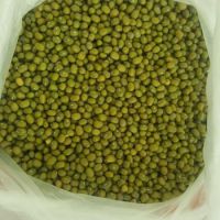 2020 wholesale bulk green mung beans for sale