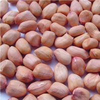 Top Quality Raw Peanuts Kernel And Raw Peanut In Shell