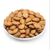 Apricot Kernels