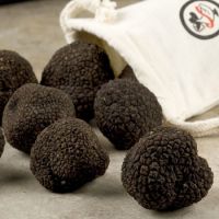 Black Truffle for sale