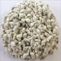 Quality Cotton Seeds