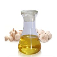 100% Pure Garlic Oil Food Grade for sale