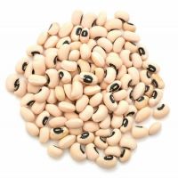 White Cowpea Vigna Beans / Black Eyes Beans In Bulk