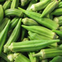 Fresh Vegetable Okra Supplier