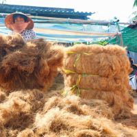 Coconut Coir Fibre Natural Husk Eco Friendly 100% Natural Coconut Coir Fiber coir matting/coconut fibre/ coco coir road paving