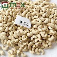 BEST VIETNAM CASHEW NUTS W320