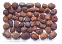 Ox And Cow Gallstone