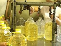 Crude Sunflower oil