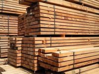 TIMBER Wood, LUMBER, LOGS, Plywoods