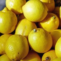 Lemon/Fresh Yellow Lemon/Citrus Fruits