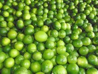 %100 FRESH SEEDLESS LIME