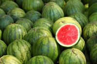Fresh Watermelon/Watermelon