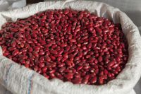 RED KIDNEY BEANS and  BLACK KIDNEY BEANS
