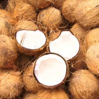 FRESH MATURE COCONUT