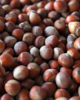 ROASTED HAZELNUTS FOR SALE - BUY 100% HAZELNUTS