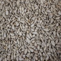 Hull Sunflower Seed Kernels