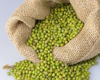 Green Mung Beans