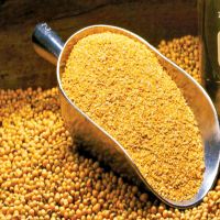 Agriculture >> Grains >> Buckwheat