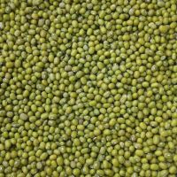 Bulk Green And Red Quality Lentils for sale