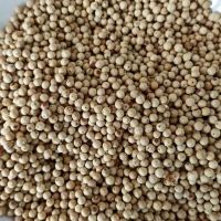 Muntok White Pepper Grade A (Handpicked)