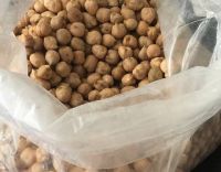 Chickpeas , 7mm 8mm 9mm 10mm 11mm 12mm For Sale