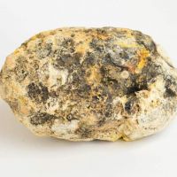 Whale ambergris for sale