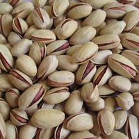 Pistachio Nuts with Shell -High Quality Raw Pistachios