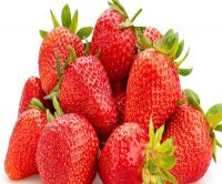 Whole strawberry with no sulfur competitive price /fresh strawberry