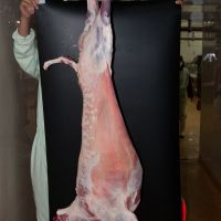 Grass Fed HALAL / NON HALAL BEEF - LAMB CARCASSES & PRIME CUTS