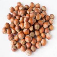 WHOLESALE BEST GRADES HAZELNUTS FOR SALE IN BULK