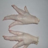 Processed Chicken feet / Paws
