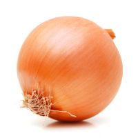 Best quality Onion for sale