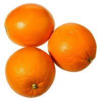 Best Oranges for sale