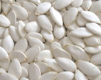 1st grade Snow White Pumpkin Seeds