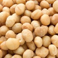 Best quality macademia nuts