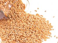 Wholesale soft wheat cereal crop a large amount of vitamins and minerals rich in pectin and dietary