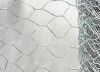 Sell Hexagonal Wire Netting