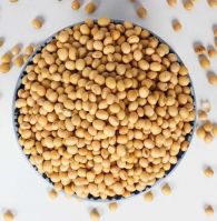 High Quality Non GMO Yellow Soybeans - Soybeans /Soya Bean (8.0mm) with High Quality for offer now