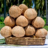 dry coconuts